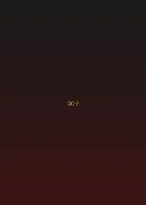 四虎 - 风云再起海报